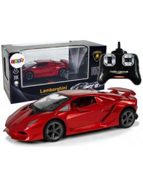 Auto Sportowe R/C 1:24...