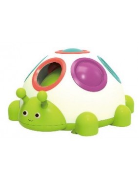 Żółwik Sorter Finger Beetle...