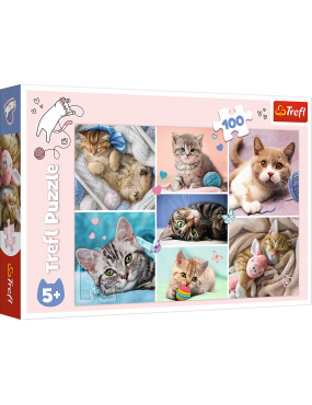 Puzzle - 100 - W kocim...