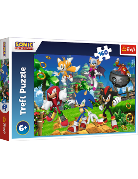 Puzzle - 160 - Sonic i...