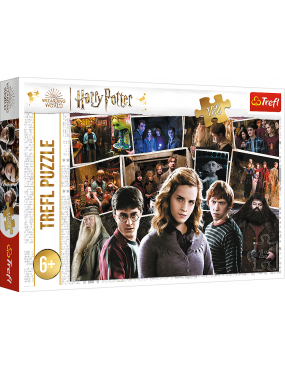 Puzzle Harry Potter 160 el....