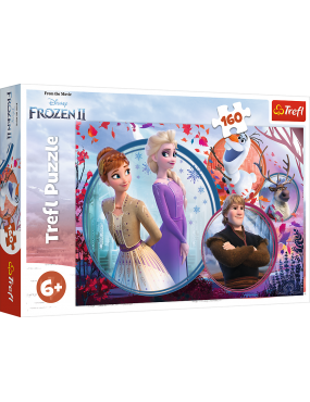 Puzzle - 160 - Siostrzana...