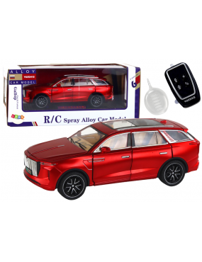 Auto RC 1:24 Samochód...