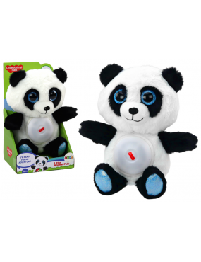 Miś Panda Usypiacz Lampka...