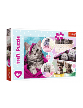Puzzle 160 el. Urocze kotki...