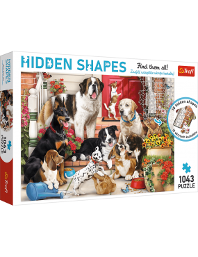 Puzzle Hidden Shapes - Psia...