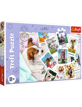 Puzzle - "300" - Zdjęcia z...