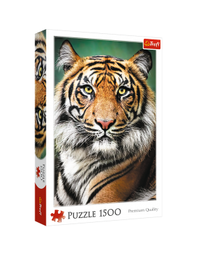 Puzzle - "1500" - Portret...