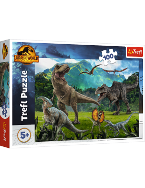 Puzzle - 100 - Park...